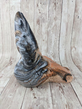 Arith the Swamp Dragon, Size Large (Super Soft Firmness)