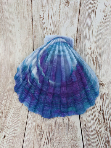 Mermaid's Shell Squishy, Size Onesize (Super Soft Firmness)