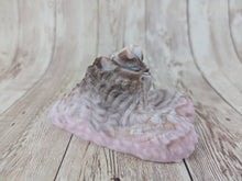 Fredrick the Werewolf of the woods, Size Mini (Soft Firmness)