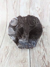 Stella the Moonwalker's Chest, Size Mini (Soft Firmness) MISHAP