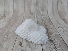 Darien the Merchant, Size Mini (Soft Firmness)