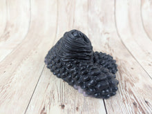 Darien the Merchant, Size Mini (Super Soft Firmness)