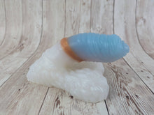 Lennex the Dancing Bear Packer, Size Small (Soft Firmness) Royal Unicorn Special Coloration