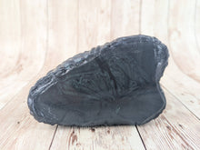 Jasper the Forest Guardian, Size Mini (Soft Firmness) MISHAP Dark Horse Special Coloration