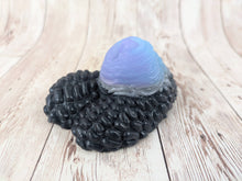 Darien the Merchant, Size Mini (Soft Firmness) MISHAP Dark Horse Special Coloration