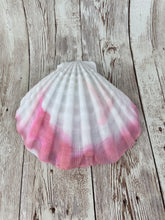 Mermaid's Shell Squishy, Size Onesize (Super Soft Firmness)