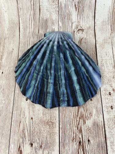 Mermaid's Shell Squishy, Size Onesize (Medium Firmness) Disco Phantom