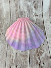 Mermaid's Shell Squishy, Size Onesize (Super Soft Firmness)
