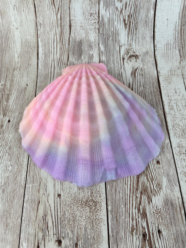 Mermaid's Shell Squishy, Size Onesize (Super Soft Firmness)