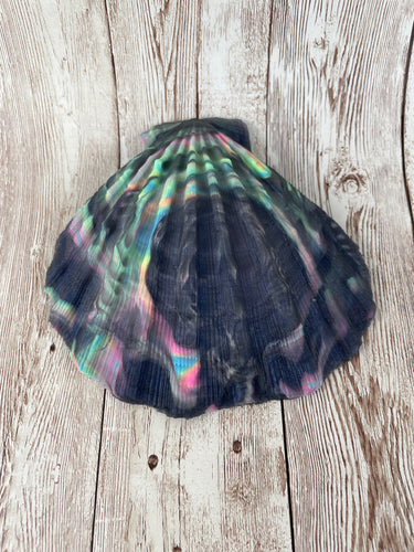 Mermaid's Shell Squishy, Size Onesize (Medium Firmness) Black Rainbow