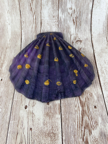 Mermaid's Shell Squishy, Size Onesize (Soft Firmness) Twilight Stars