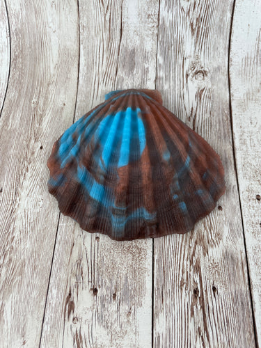 Mermaid's Shell Squishy, Size Onesize (Soft Firmness) Precious Turquoise
