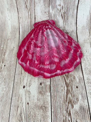 Mermaid's Shell Squishy, Size Onesize (Medium Firmness)