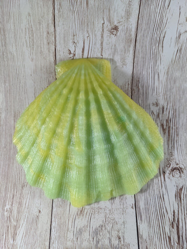 Mermaid's Shell Squishy, Size Onesize (Super Soft Firmness)