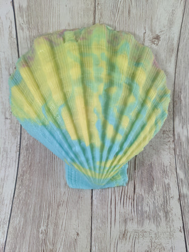 Mermaid's Shell Squishy, Size Onesize (Soft Firmness)