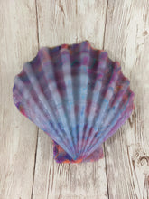 Mermaid's Shell Squishy, Size Onesize (Medium Firmness)