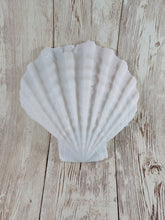 Mermaid's Shell Squishy, Size Onesize (Super Soft Firmness)