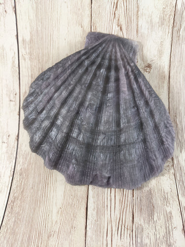 Mermaid's Shell Squishy, Size Onesize (Super Soft Firmness)