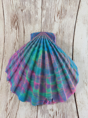 Mermaid's Shell Squishy, Size Onesize (Super Soft Firmness)