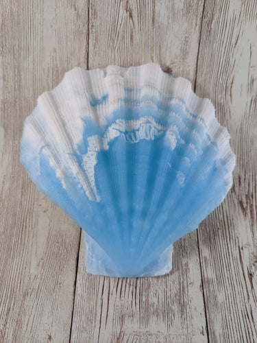 Mermaid's Shell Squishy, Size Onesize (Medium Firmness)