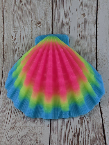 Mermaid's Shell Squishy, Size Onesize (Soft Firmness)