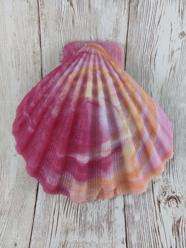 Mermaid's Shell Squishy, Size Onesize (Soft Firmness)