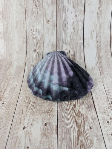 Mermaid's Shell Squishy, Size Onesize (Soft Firmness)