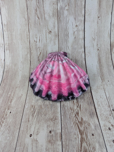 Mermaid's Shell Squishy, Size Onesize (Medium Firmness)