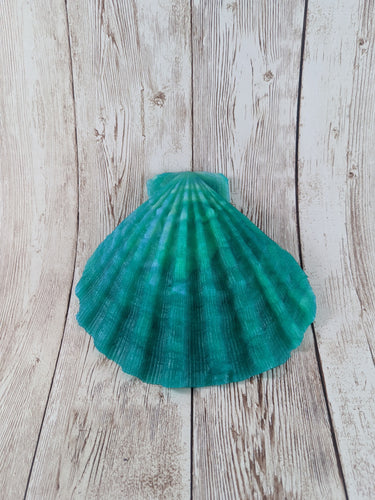 Mermaid's Shell Squishy, Size Onesize (Super Soft Firmness)