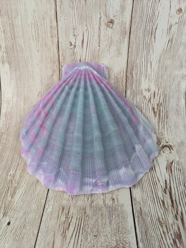 Mermaid's Shell Squishy, Size Onesize (Soft Firmness)