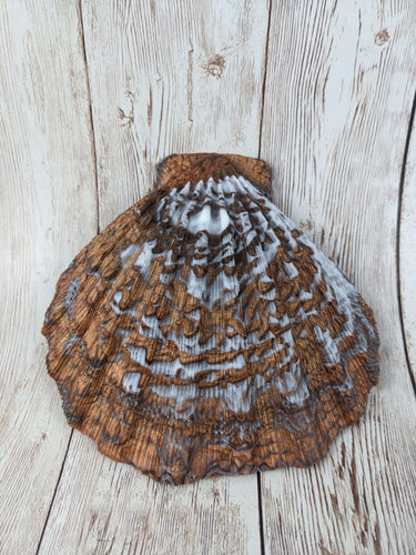 Mermaid's Shell Squishy, Size Onesize (Soft Firmness)