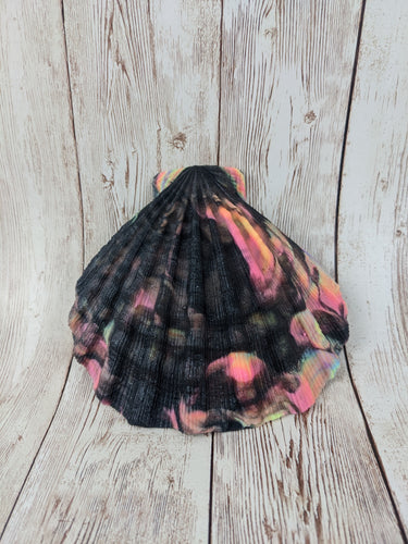 Mermaid's Shell Squishy, Size Onesize (Soft Firmness) Black Rainbow