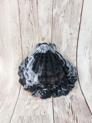 Mermaid's Shell Squishy, Size Onesize (Medium Firmness)