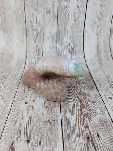 Lennex the Dancing Bear Packer, Size Mini (Super Soft Firmness)