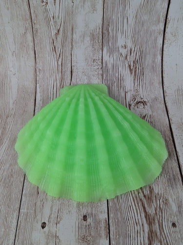 Mermaid's Shell Squishy, Size Onesize (Super Soft Firmness)