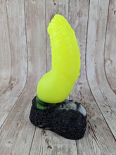 Malikye the Pet, Size Medium (Soft Firmness) Electric Zebra Special Coloration