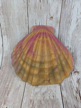 Mermaid's Shell Squishy, Size Onesize (Soft Firmness)