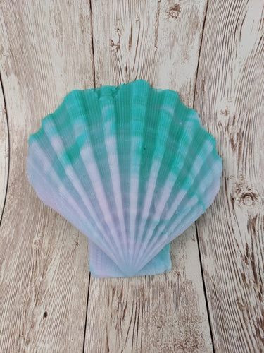 Mermaid's Shell Squishy, Size Onesize (Soft Firmness)